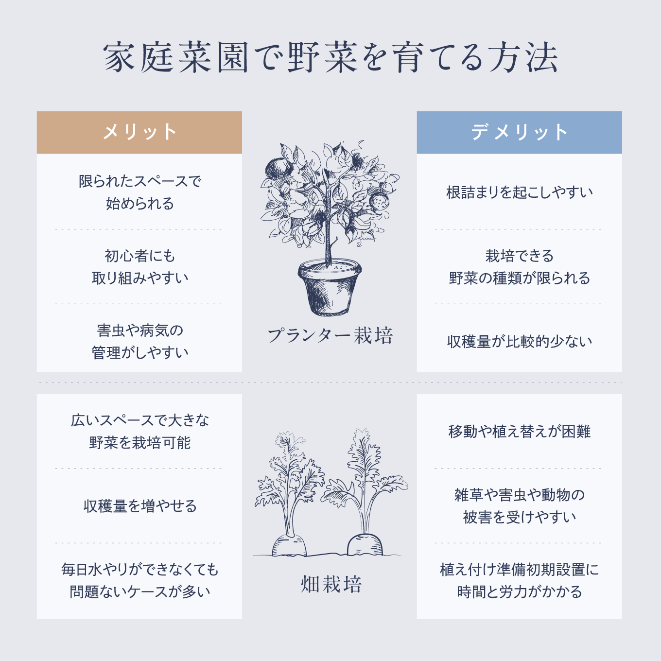 家庭菜園で野菜を育てる方法