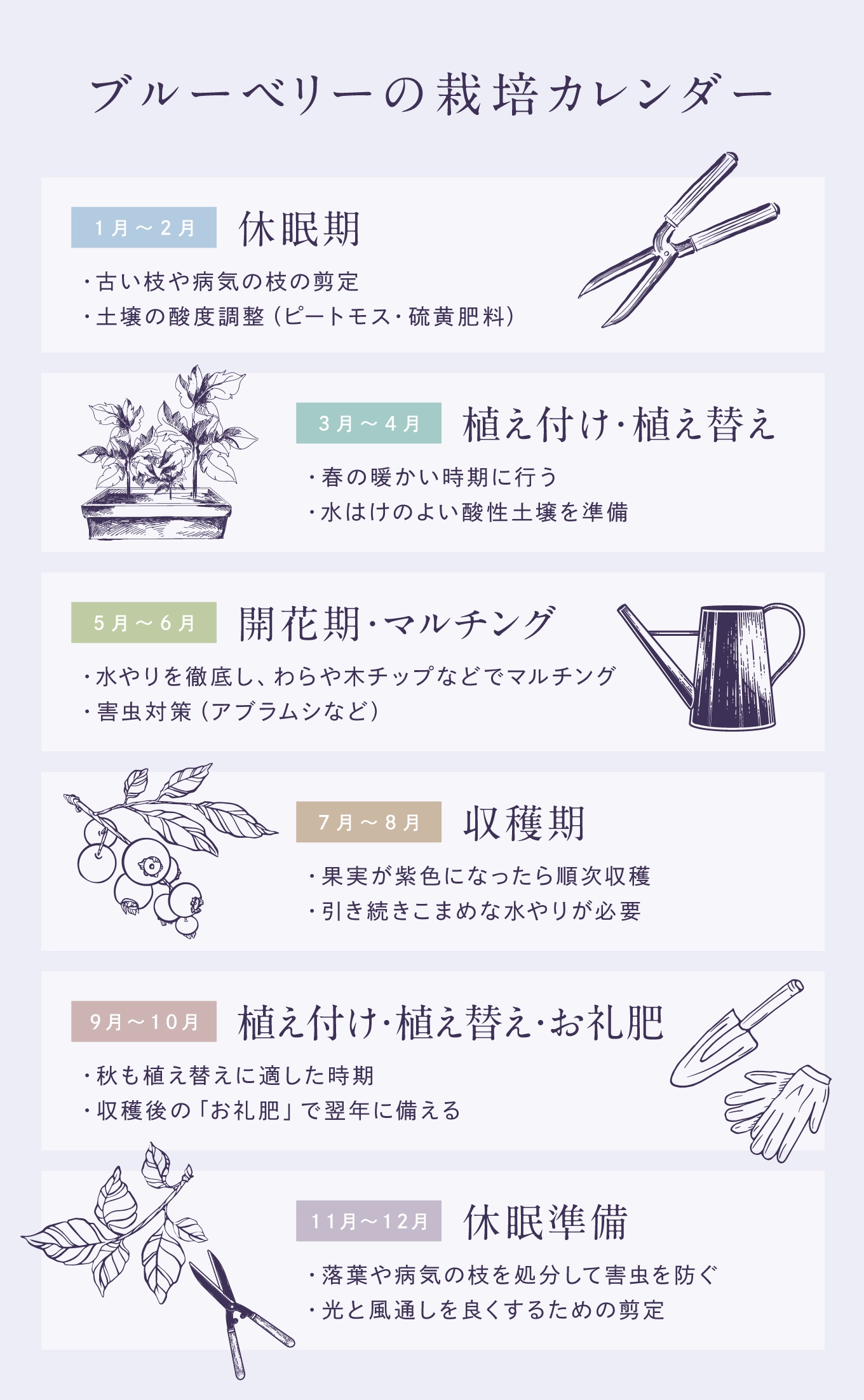 ブルーベリーの栽培カレンダー
