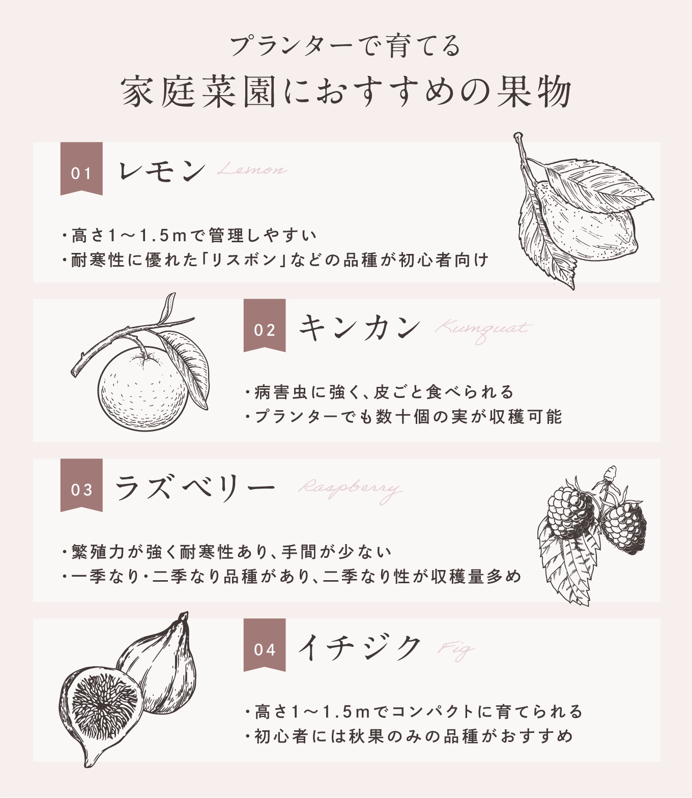 プランターで育てる家庭菜園におすすめの果物