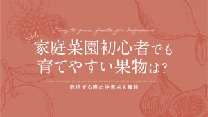 家庭菜園初心者でも育てやすい果物は?栽培する際の注意点も解説