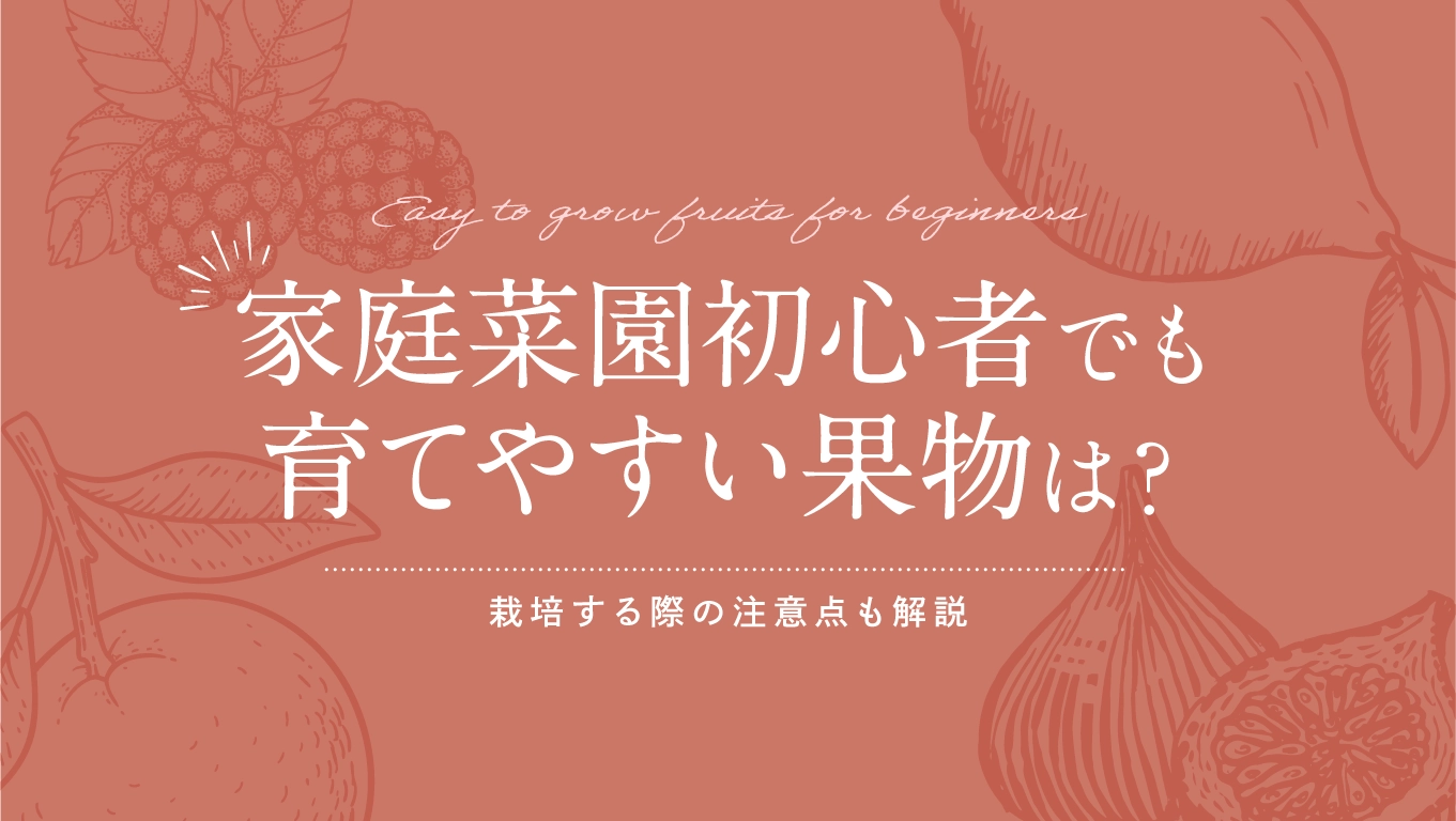家庭菜園初心者でも育てやすい果物は?栽培する際の注意点も解説