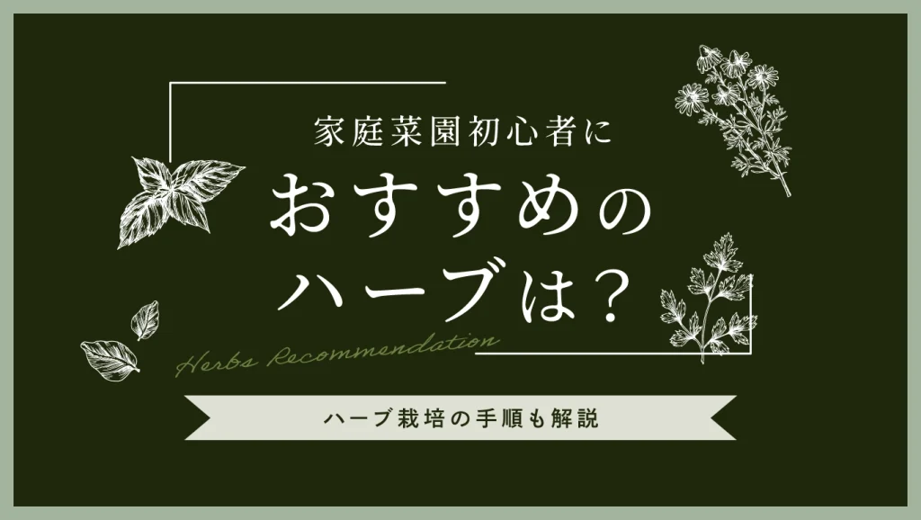 家庭菜園初心者におすすめのハーブは?ハーブ栽培の手順も解説